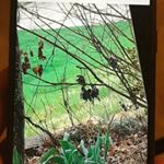 Profile Picture of John mac (@johnmaclay5) on Instagram