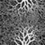 Profile Picture of Elizabeth  Harris (@james hetfield) on Flickr