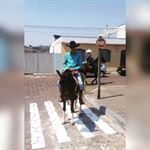 Profile Picture of Douglas Lara (@douglas.lara.961) on Instagram