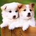 Profile Picture of Shirley Bernard (@shirley.bernard.12) on Facebook