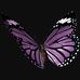 Profile Picture of Denise Pascarella (@Denise-Pascarella) on Facebook