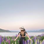 Tiffany | New Zealand 🍓 - Instagram Profile Picture of Tiffany | New Zealand 🍓 (@tiffanypoppet) on Instagram