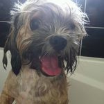 Profile Picture of Glenda Dutton (@glendut) on Instagram