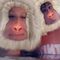 Profile Picture of Alison Locks (@alison.locks.758) on Facebook