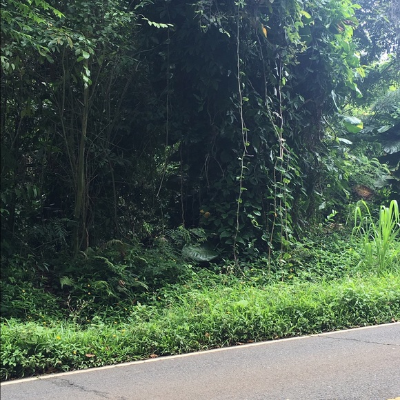 Alia Wallenstrom - Poshmark Profile Picture of Alia Wallenstrom (@awallenstrom) on Poshmark