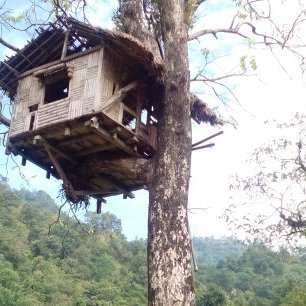 Profile Picture of Tania Chakraborty (@TaniaCh26368813) on Twitter