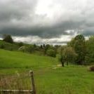 Profile Picture of Stephanie Mohler (@stephanif) on Pinterest