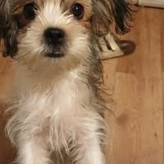 Profile Picture of Michael Konrath (@michael.konrath) on Instagram