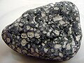 Profile Picture of Esterelliteon Wikipedia