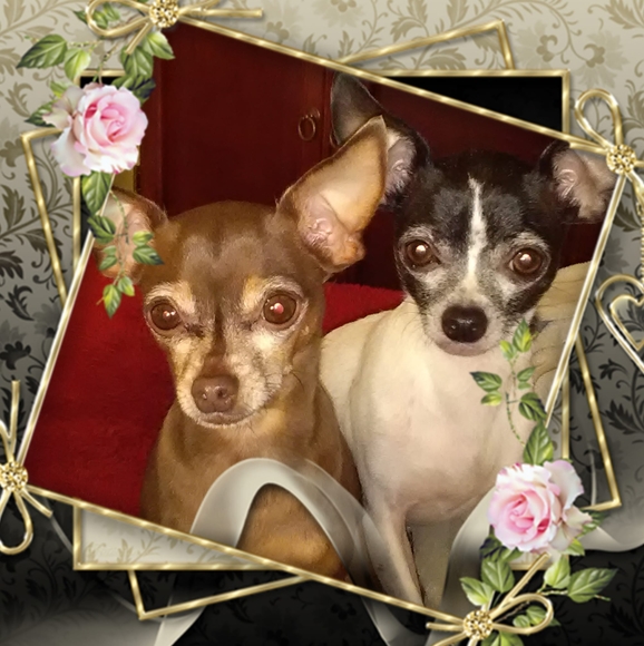 Profile Picture of Brenda Knauber (@knauber3) on Poshmark