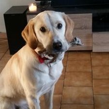 Profile Picture of Benjamin Charlot (@benji_cht) on Twitter