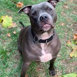 Profile Picture of Marlene (@keyheartkey) on Instagram