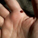 Profile Picture of Paul Bruno (@unblinkingear) on Instagram