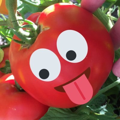 Profile Picture of Aidan Cox (@Aidan1111111112) on Twitter