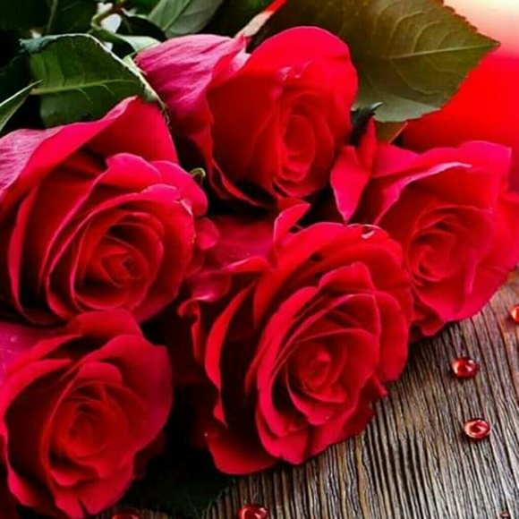 Profile Picture of Maritsa Ramirez (@mrsmarirsa11) on Poshmark