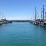 Profile Picture of Jesus Fernando Vizcarra (@chuyviz) on Instagram