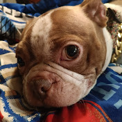 Profile Picture of Mason Wilson (@user-uu2qo5hz7n) on Youtube