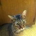 Profile Picture of Gregory Ahlswede (@gregory.ahlswede.5) on Facebook