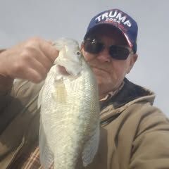 Profile Picture of Carl Collins (@@carlcollins8) on Tiktok