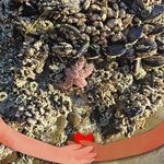 Profile Picture of Jaymie Clayton (@jf_clayton) on Instagram