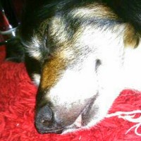 Profile Picture of Joe Mcadam (@joe-mcadam-1) on Quora