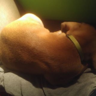 Profile Picture of Dylan Moberly (@Dylan-Moberly) on Facebook