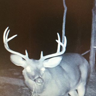 Profile Picture of Kenneth Cranford (@kenneth.cranford.79) on Facebook