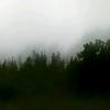 Profile Picture of Craig Tyrrell (@@craigo_linko) on Tiktok