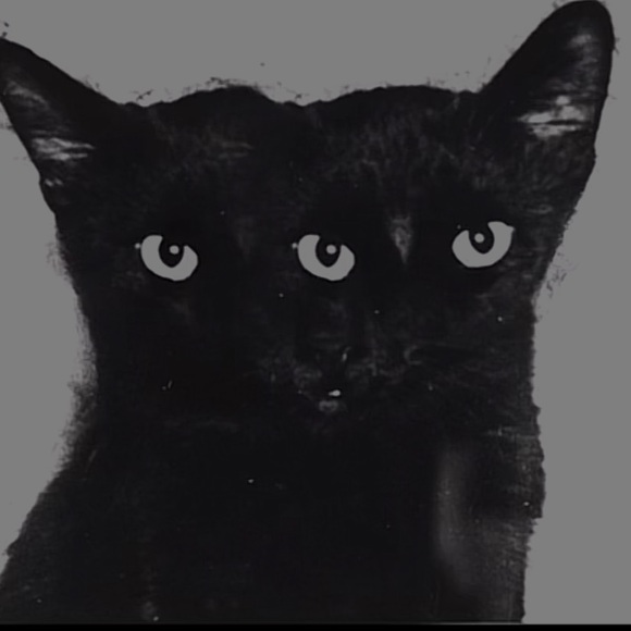 Profile Picture of Aileen Chavez (@6ileen) on Poshmark