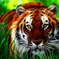 Profile Picture of Thomas Suffield (@thomas-suffield) on Quora