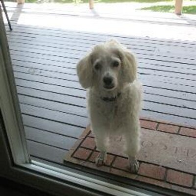 Profile Picture of Thomas J Ault (@Ault2010) on Twitter