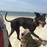 Profile Picture of Fred Hilgers (@hilgersfred) on Instagram