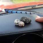 Profile Picture of Roderick Day (@bowandarrowsunrise) on Instagram