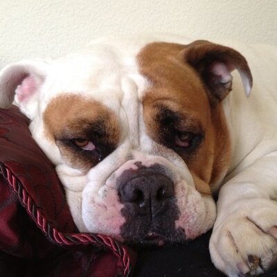 Profile Picture of Robin Price & Fergie (@mzbhayvn_price) on Twitter