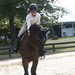Profile Picture of Ally Maucher (@allison.maucher) on Instagram