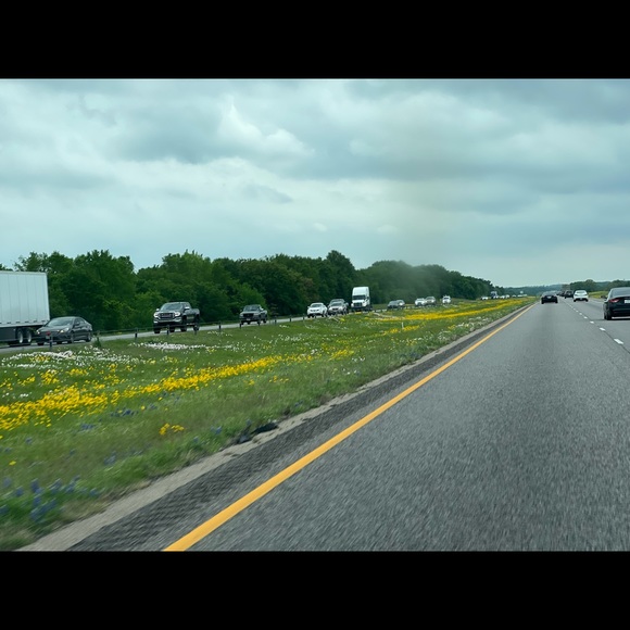 Profile Picture of Caitlyn Mackey (@caitlyn_mackey) on Poshmark