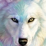 Profile Picture of Angelique Alexandra Grimaldi (@angeliquealexandragrimaldis) on Instagram