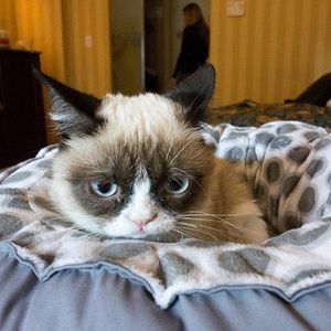 Profile Picture of Ashlynn H (@happybutterfly01) on Myspace