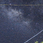 Profile Picture of sam su (@Da Shan Su) on Flickr