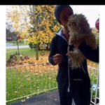 Profile Picture of Brad (@bradleymonks) on Instagram