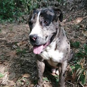 Profile Picture of Daniela Arce (@MrATANASIA) on Youtube