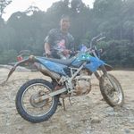 Profile Picture of Forest Guide (@forestguide1) on Instagram
