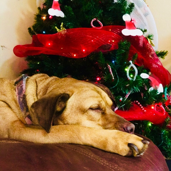 Profile Picture of Jerry Gilbert (@jdgil36) on Poshmark