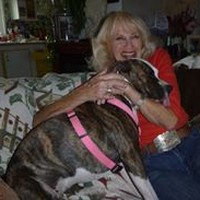 Profile Picture of Dolly Decair (@dolly-decair) on Quora