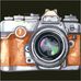 Profile Picture of Ralph Finch (@rafael.ugarte.716) on Facebook
