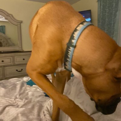 Profile Picture of kirsten jennifer benson (@kirsten_9255) on Twitter