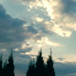 Profile Picture of Dennis Markley (@freexstartwo) on Instagram