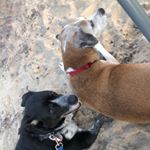 Profile Picture of Megan Schneider (@mkburke00) on Instagram