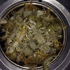 Profile Picture of Jimmy_Hearn (@@Jimmy_Hearn) on Tiktok