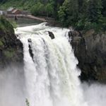 Profile Picture of Brian Micciolo (@brianmicciolo) on Instagram